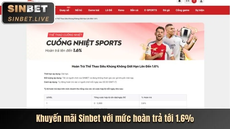 Hoàn trả hàng ngày cho cá cược thể thao